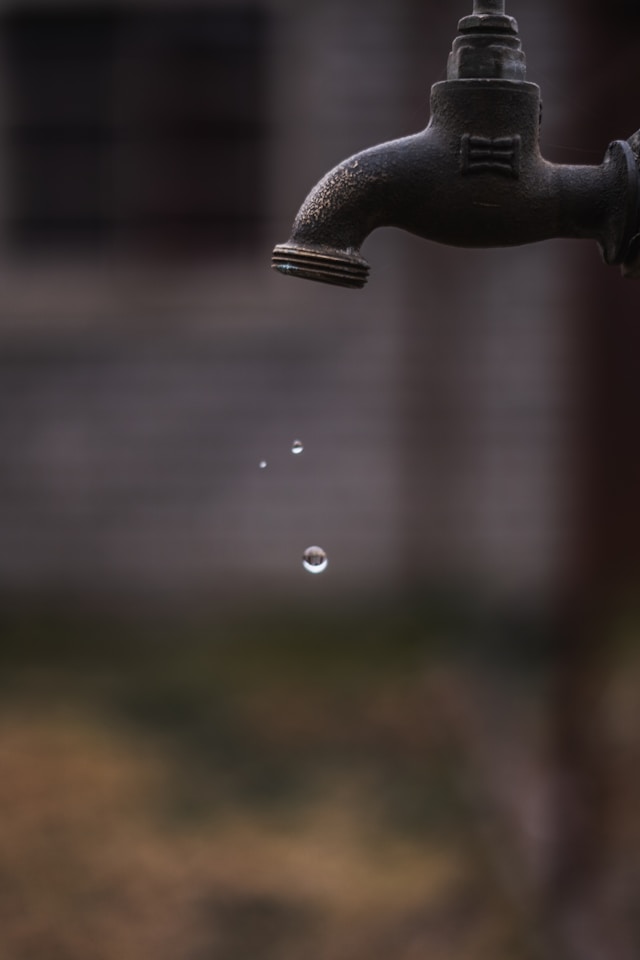 walter randlehoff yGKWUI1nSos unsplash 2